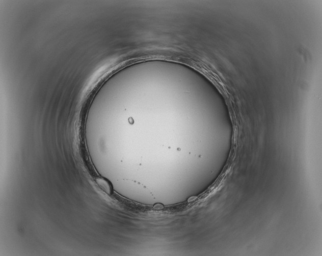 X0000113360101200909291038