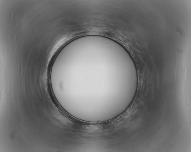 X0000113360102200909291038