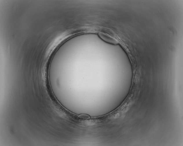 X0000113360103200909291038