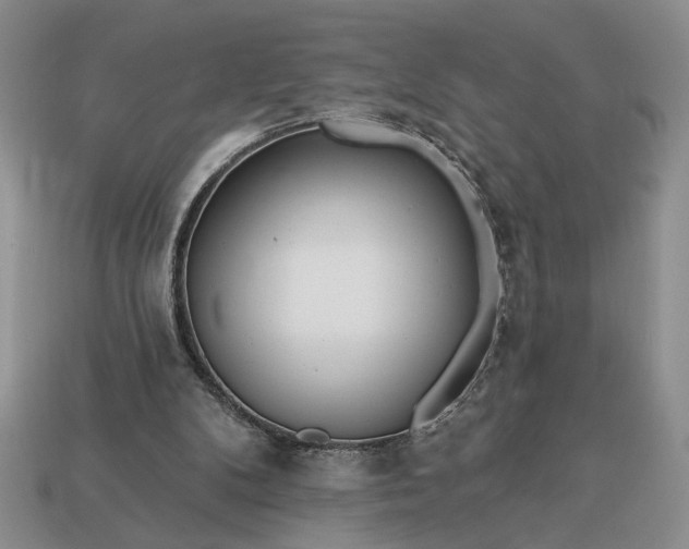 X0000113360104200909291038