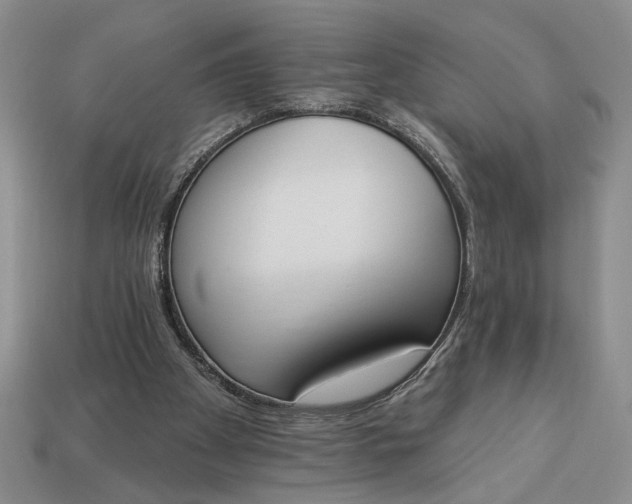 X0000113360105200909291038