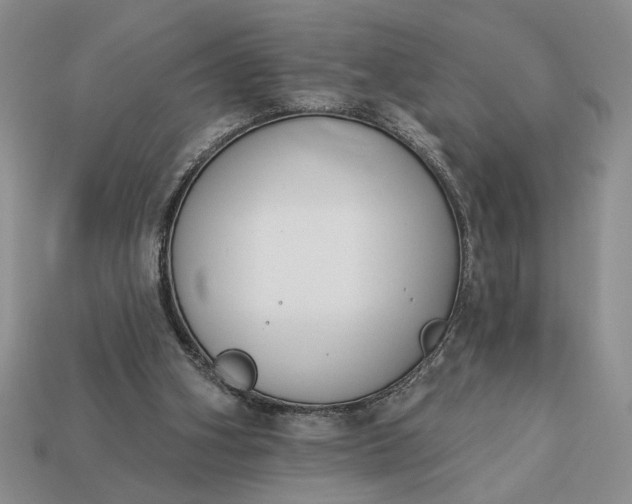 X0000113360106200909291038