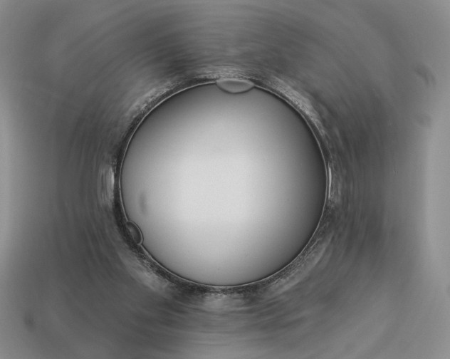 X0000113360109200909291038