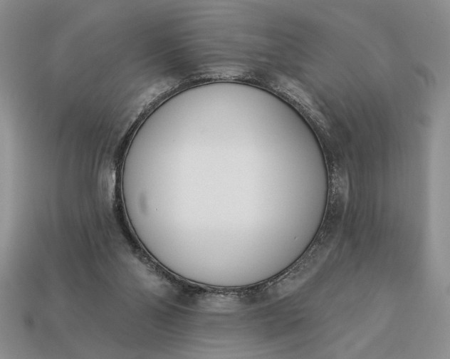 X0000113360110200909291038