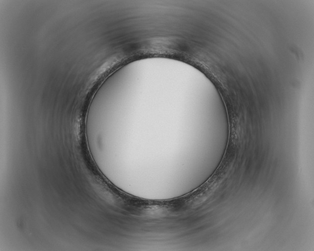 X0000113360111200909291038