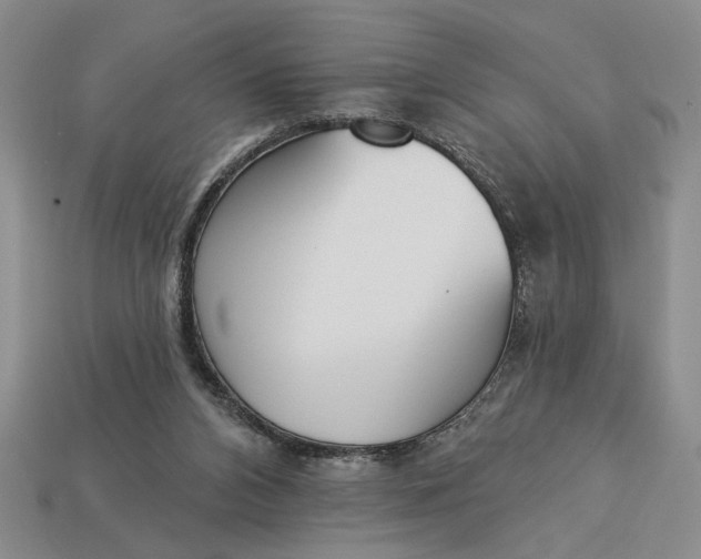 X0000113360112200909291038