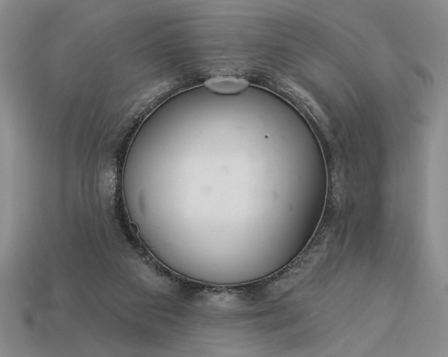 X0000113360113200909291038