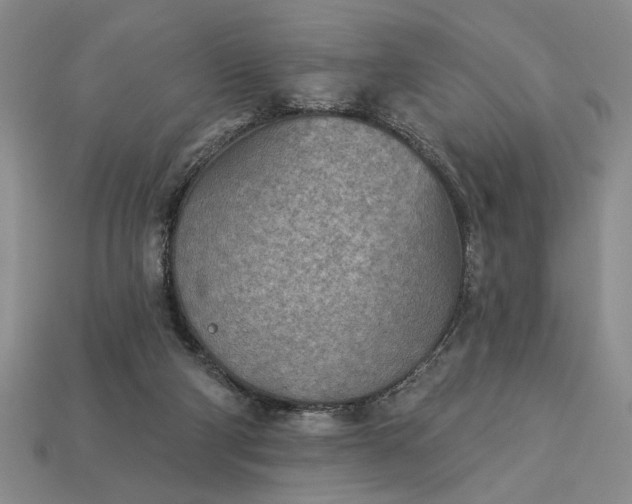 X0000113360114200909291038