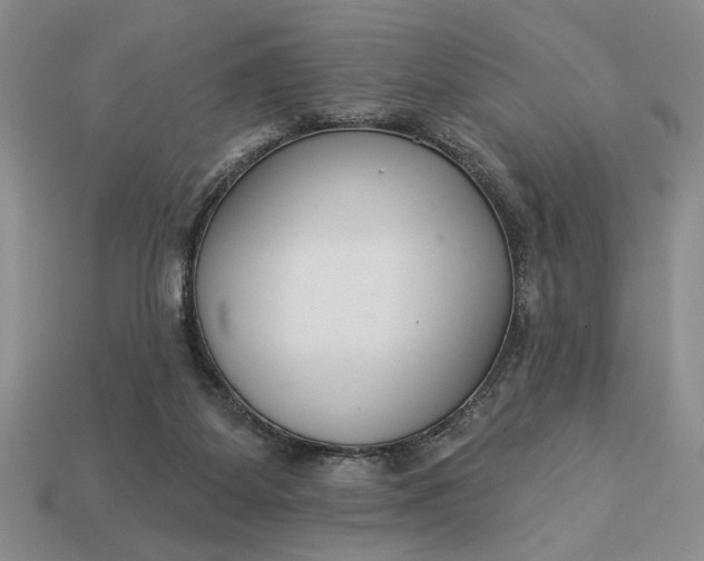 X0000113360115200909291038