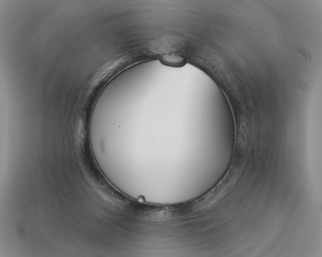 X0000113360116200909291038