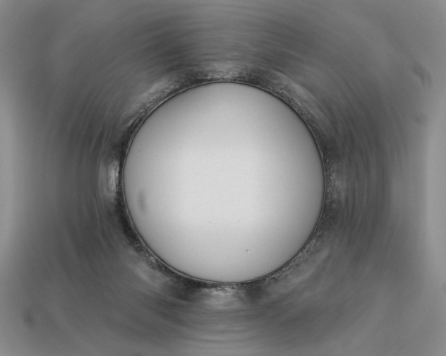 X0000113360118200909291038