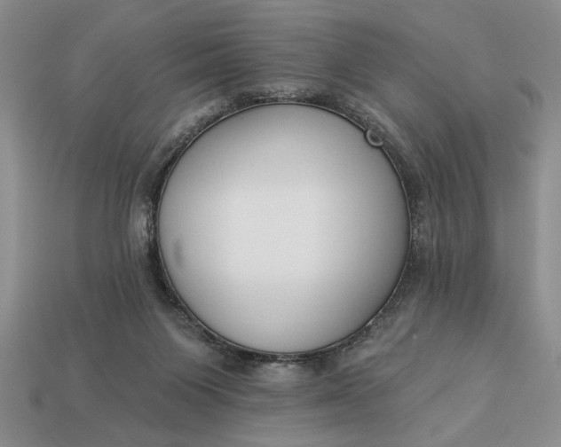 X0000113360119200909291038