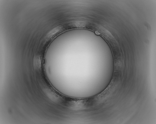 X0000113360120200909291038