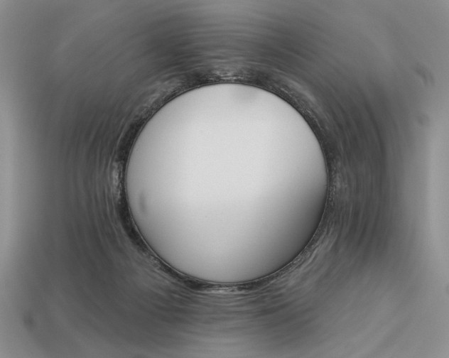 X0000113360121200909291038