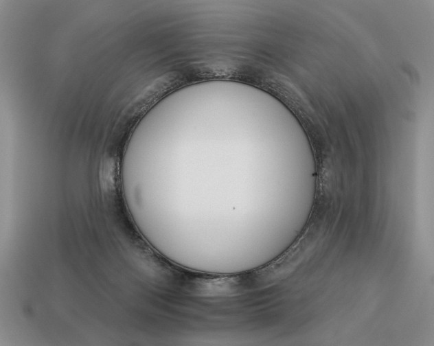 X0000113360122200909291038