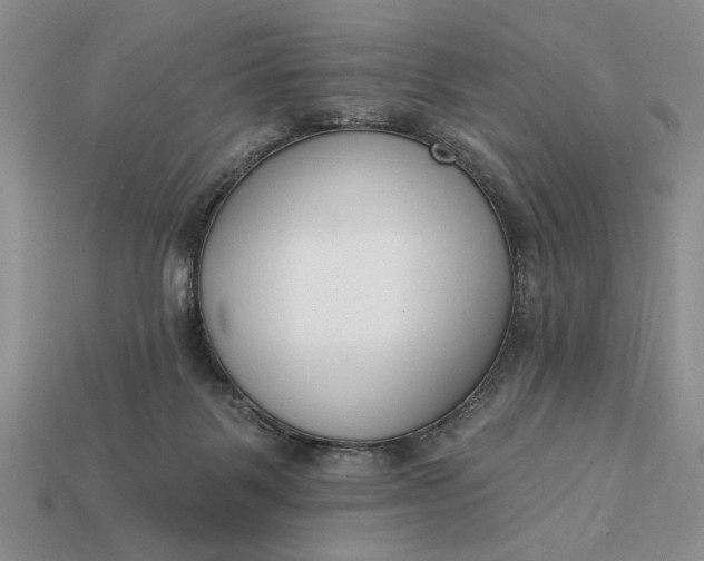 X0000113360123200909291038