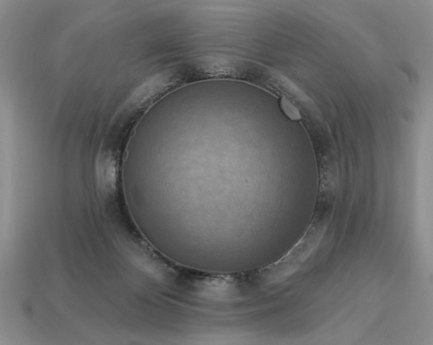 X0000113360124200909291038