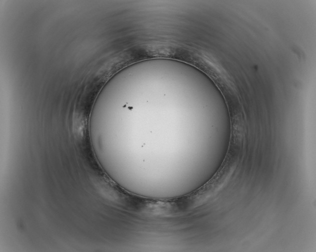 X0000113360125200909291038