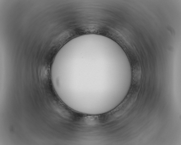 X0000113360126200909291038