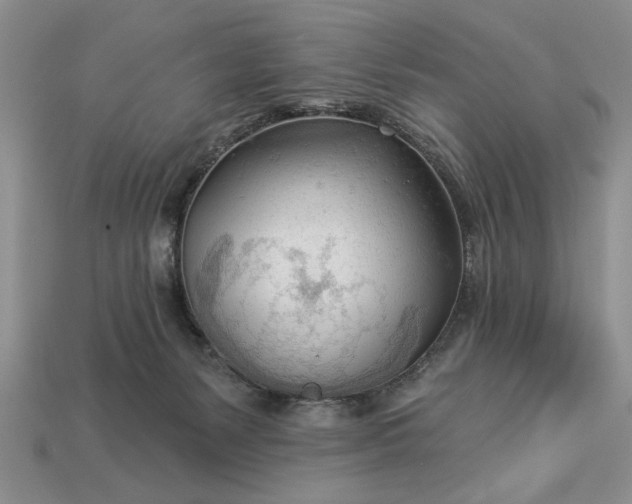 X0000113360127200909291038