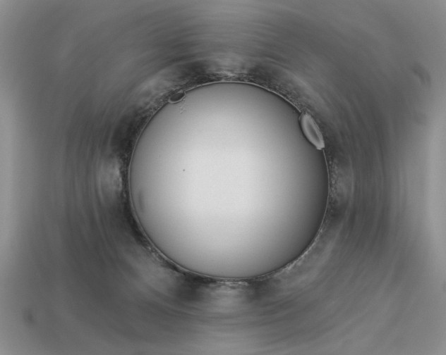 X0000113360128200909291038