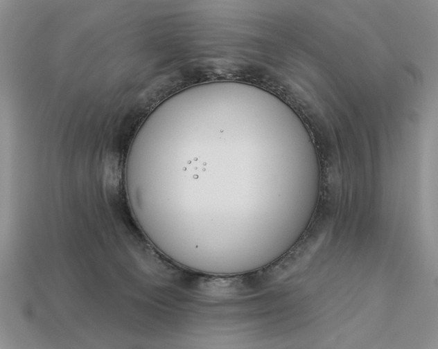 X0000113360129200909291038