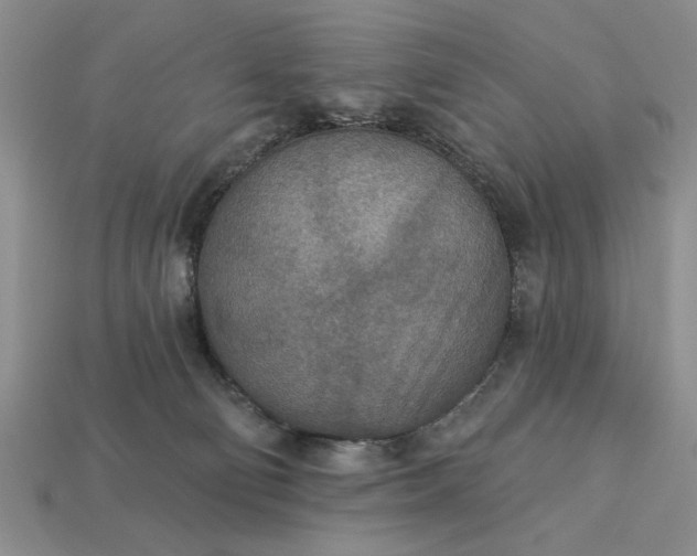 X0000113360130200909291038