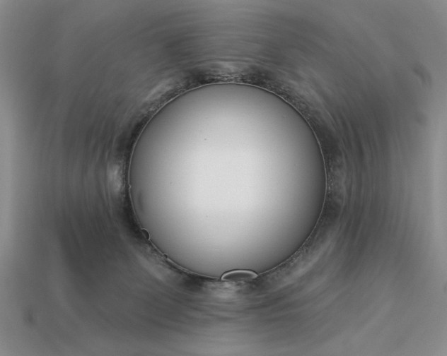 X0000113360131200909291038