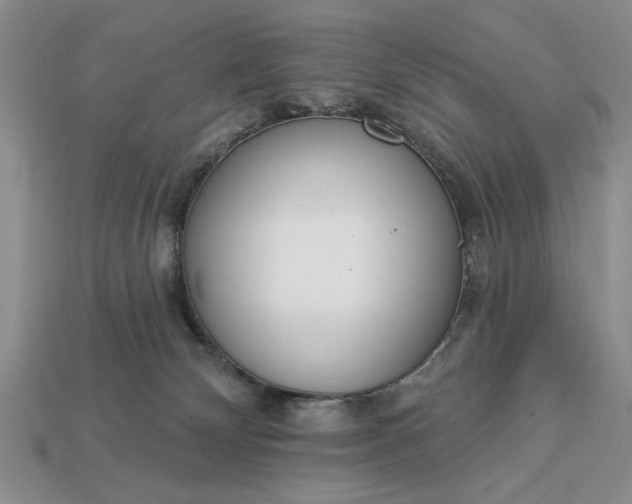 X0000113360132200909291038