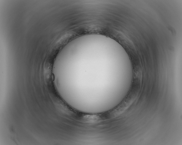 X0000113360133200909291038