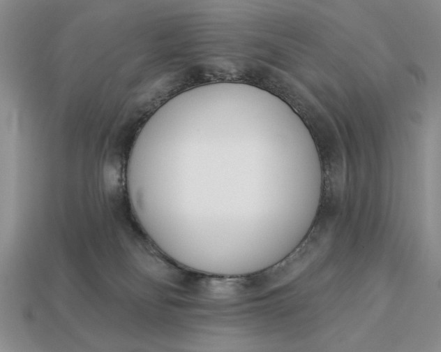 X0000113360134200909291038