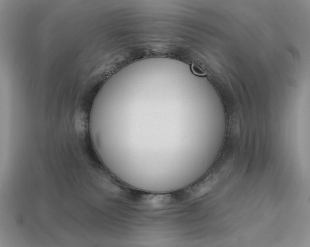 X0000113360135200909291038