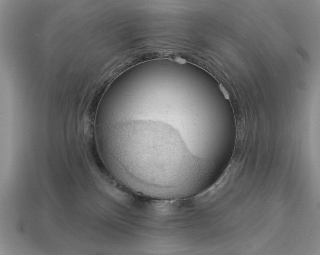 X0000113360136200909291038