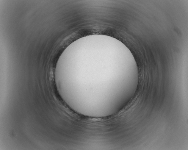 X0000113360137200909291038