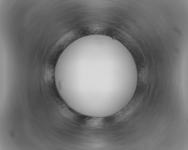 X0000113360138200909291038