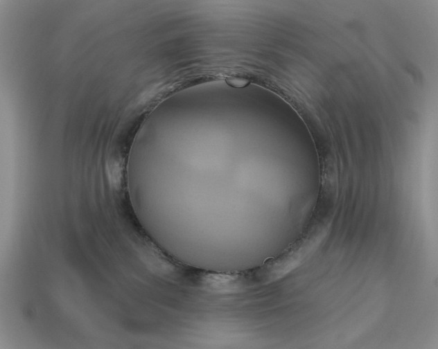 X0000113360139200909291038