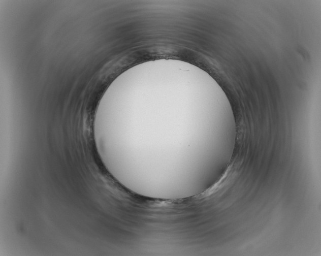 X0000113360140200909291038