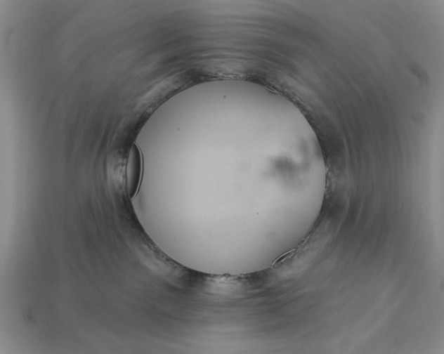 X0000113360141200909291038