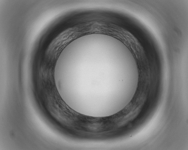 X0000113360142200909291038