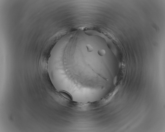 X0000113360143200909291038