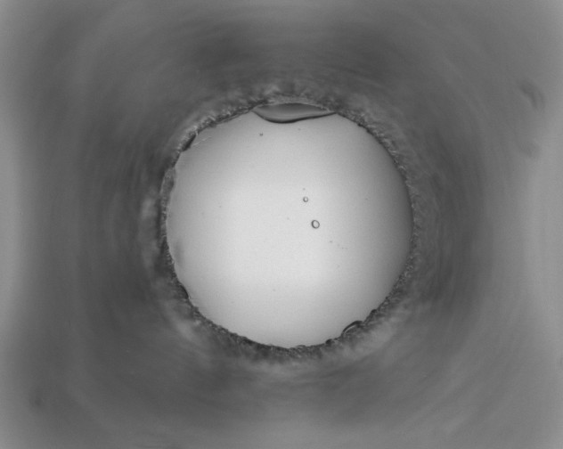 X0000113360144200909291038