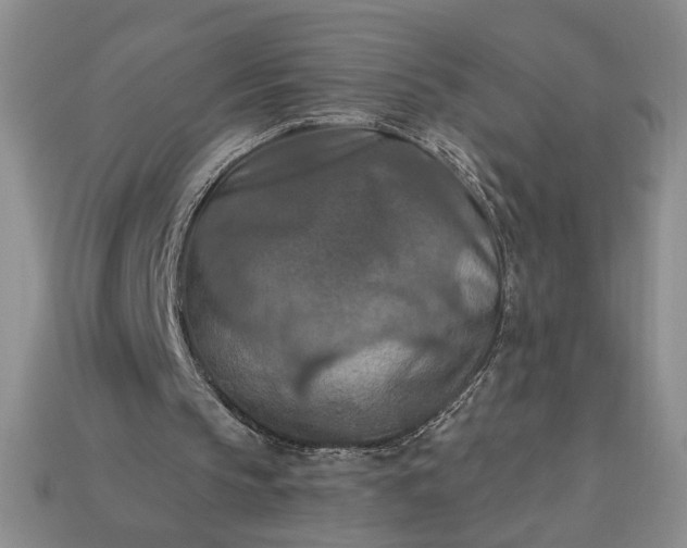 X0000113360145200909291037