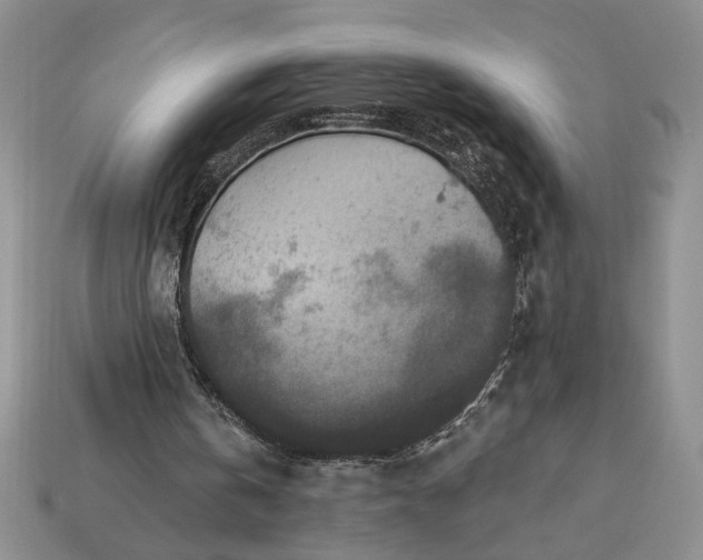 X0000113360146200909291037