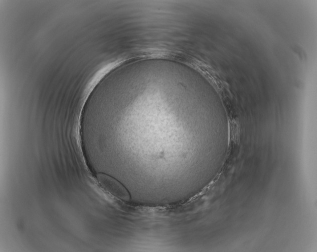 X0000113360147200909291037