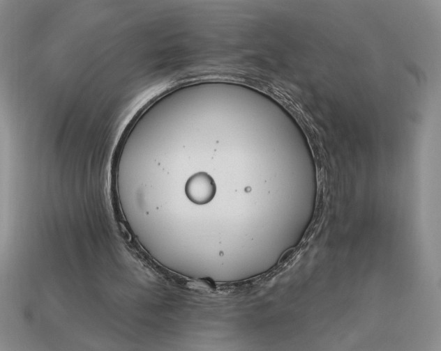 X0000113360148200909291037