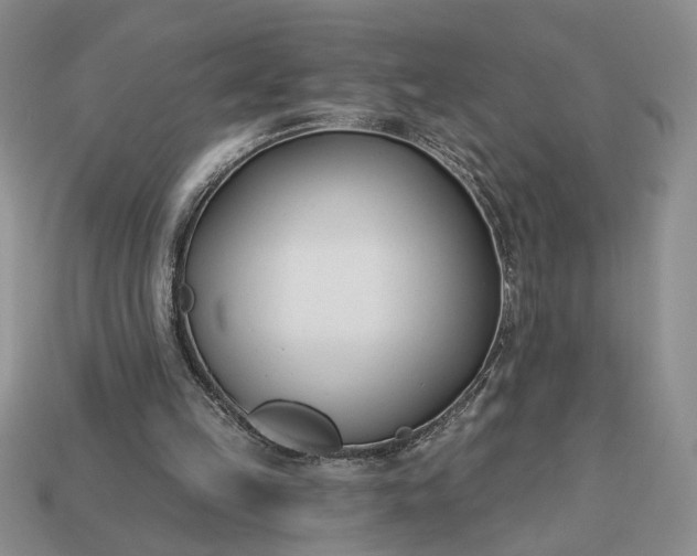 X0000113360149200909291037