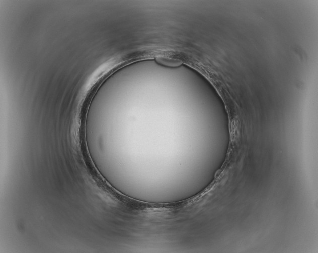 X0000113360150200909291037