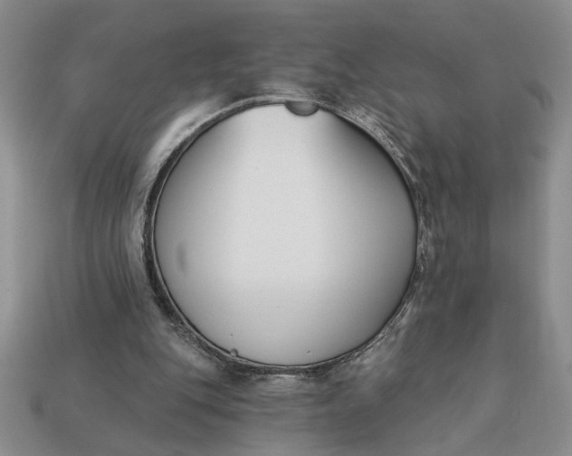 X0000113360151200909291037