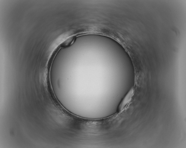 X0000113360152200909291037