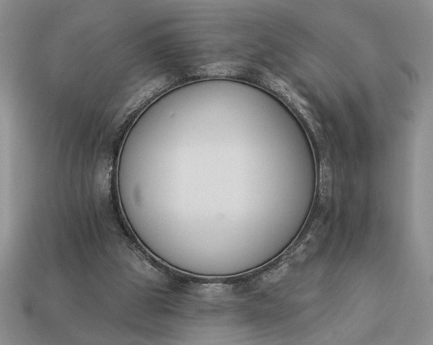 X0000113360153200909291037